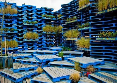 pallet-lot-san